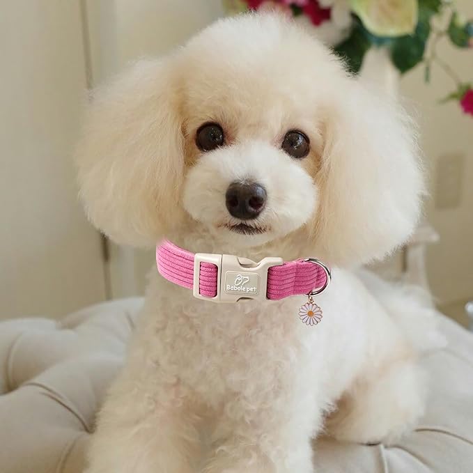 Babole Pet Cute Corduroy Dog Collar - Deep Rose Adjustable Dog Collars for Small Dogs 10-25lbs, Fade-Proof with Secure Snap & Little Charm, Christmas Birthday Gift, S