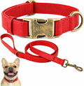 Silicone Dog Collar and Leash Set, Waterproof & Odor-Proof Puppy Collar for Small Dogs, Soft Flexible Leather-Look Dog Collars, Durable Thick Adjustable Pet Collar (Red, Large (16-24.5" Neck))