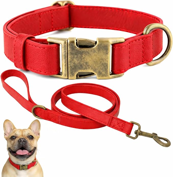 Silicone Dog Collar and Leash Set, Waterproof & Odor-Proof Puppy Collar for Small Dogs, Soft Flexible Leather-Look Dog Collars, Durable Thick Adjustable Pet Collar (Red, Large (16-24.5" Neck))