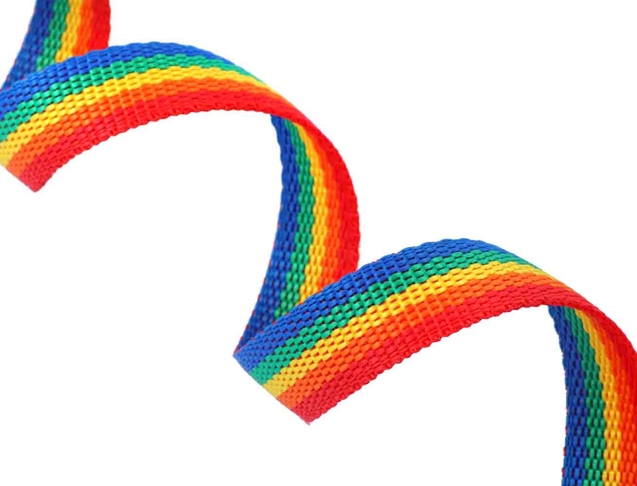 AmaGood Dog/Puppy Obedience Recall Training Agility Lead-15 ft 20 ft 30 ft 50 ft Long Leash-for Dog Training,Recall,Play,Safety,Camping (50feet, Rainbow)