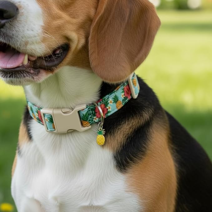 Britwicfr Summer Dog Collar with Tropical Pattern, Cute Dog Collar for Girl Boy Dogs, Pet Collar with Unique Print and Soft Fabric, Suitable for Small Dogs