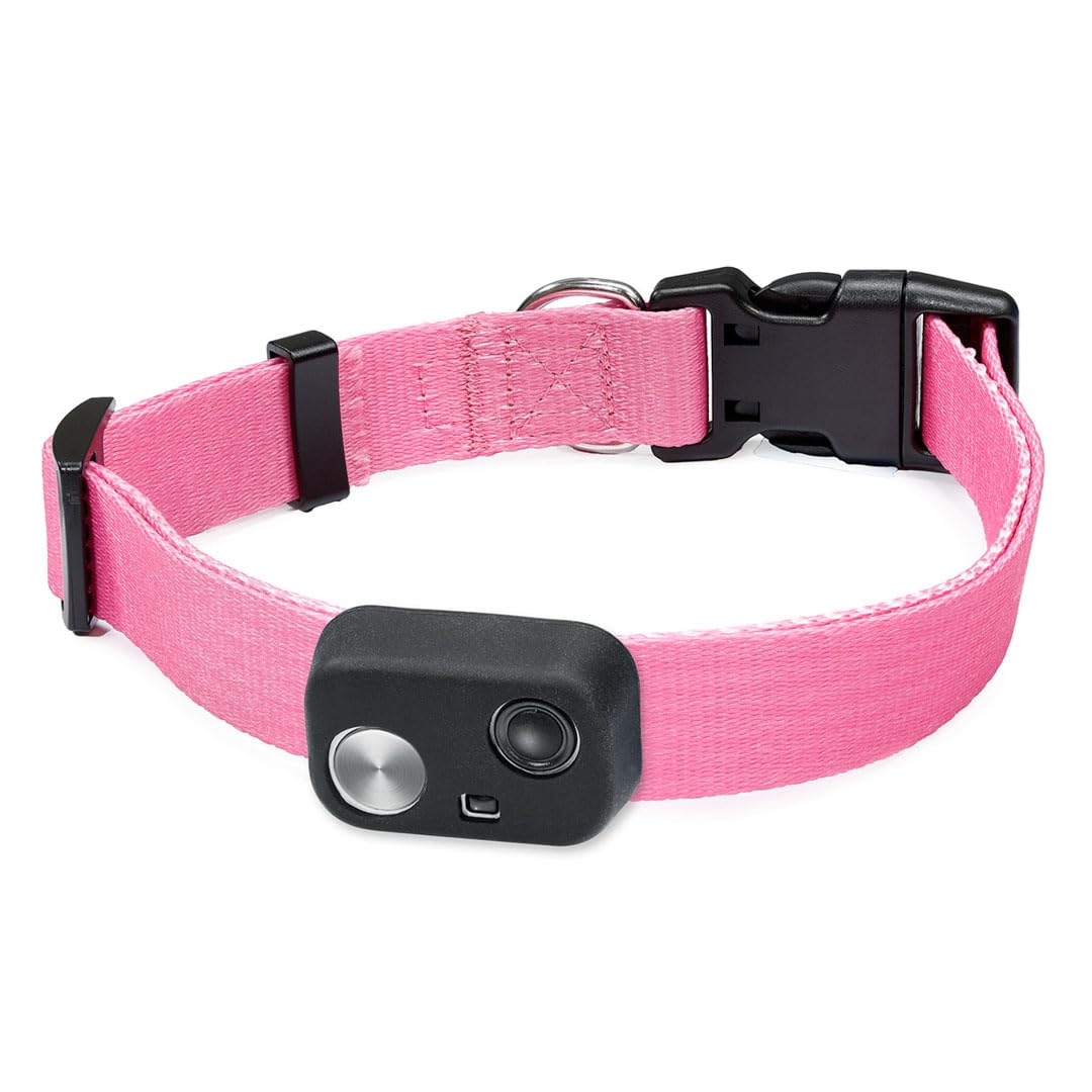 Genuine MS-5® Automatic Pet Door Collar for Medium Size Dogs – Waterproof, Tested & Certified by High Tech Pet – for Use with All Power Pet Doors (Camo, Medium) - DC-CAMO-MS5-M