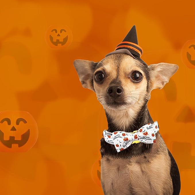 Bobo Rainbow Halloween Dog Collar, Pet Collar Bow Pumpkin Pet Collar Girl Boy Bow Dog Collars Cute Soft Puppy Collar for X-Large Dogs