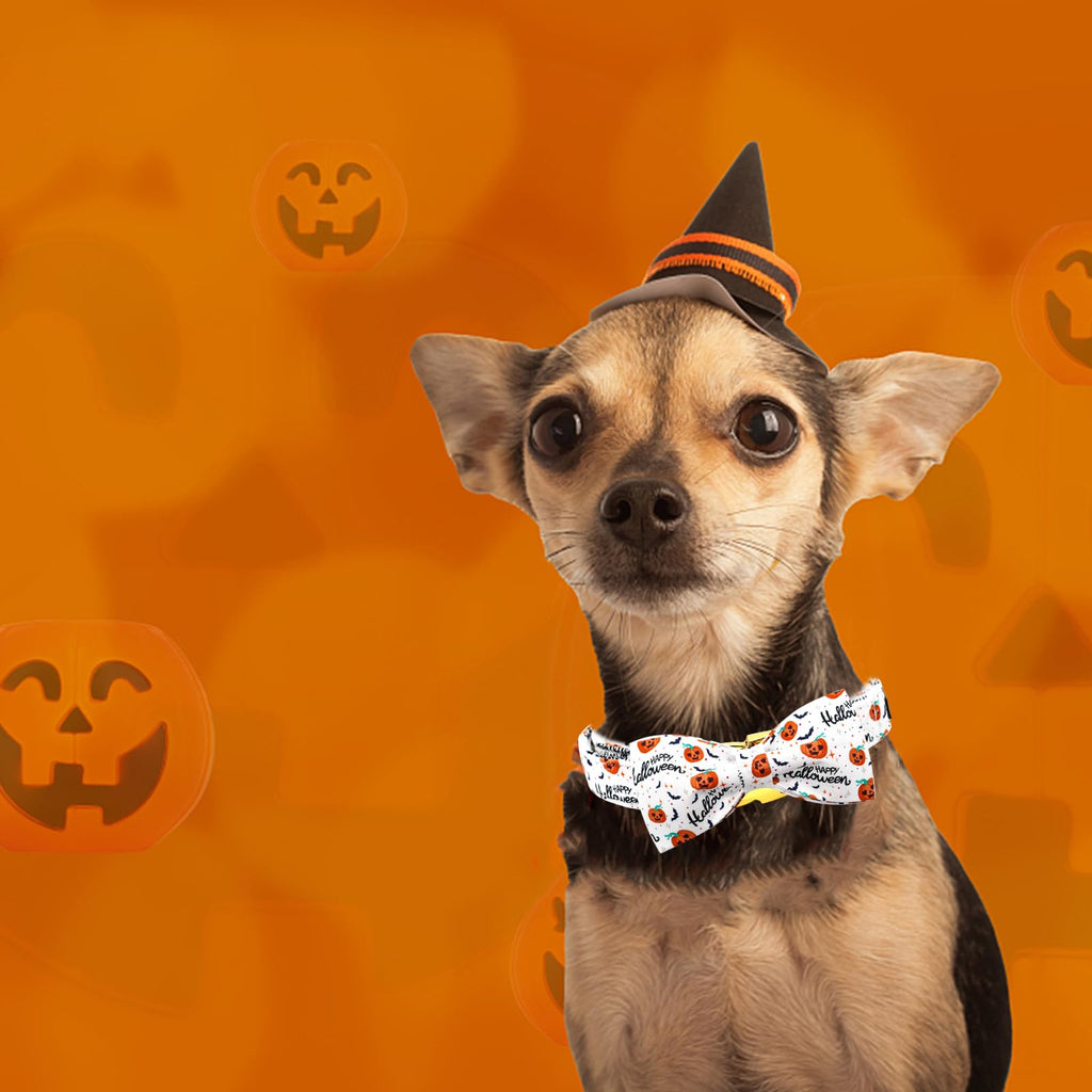 Bobo Rainbow Halloween Dog Collar, Pet Collar Bow Pumpkin Pet Collar Girl Boy Holiday Collars Gift Bow Cute Soft Puppy Collars for X-Small Puppy