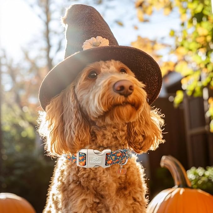 Babole Pet Fall Dog Collar Cute Autumn Pumpkin Puppy Collar - Light Comfortable Adjustable Pet Collars for Small Medium Large Girl Boy Dogs L