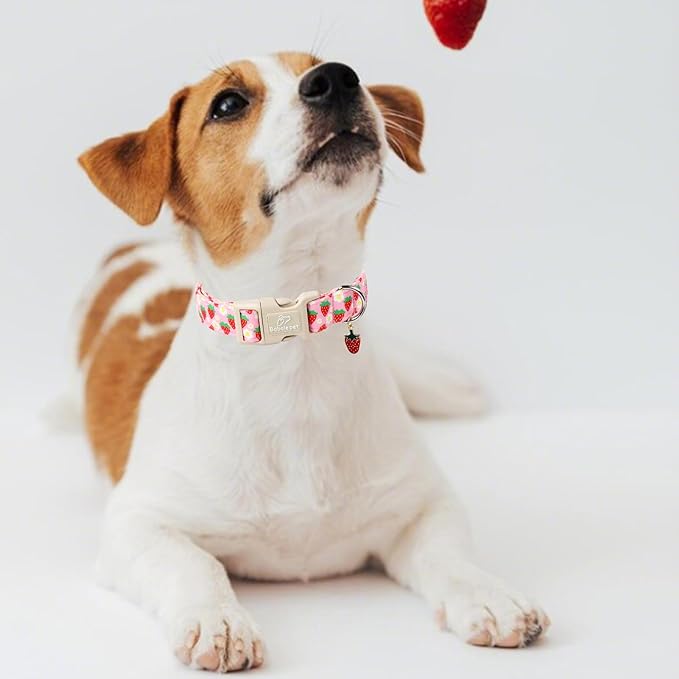 Babole Pet Cute Spring/Summer Dog Collar, Adjustable Pink Strawberry Dog Collars for Medium Dogs, Lightweight Quick-Release Buckle Collar for Boy&Girl Dogs M