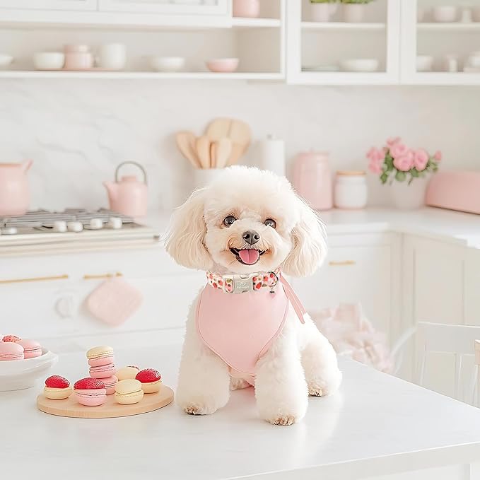 Babole Pet Strawberry Dog Collar for Small Dogs - Cute Spring Pink Dog Collars, Summer Pastel Puppy Collars, Soft Adjustable Boy Girl Dogs Collar with Quick-Release Buckle XS