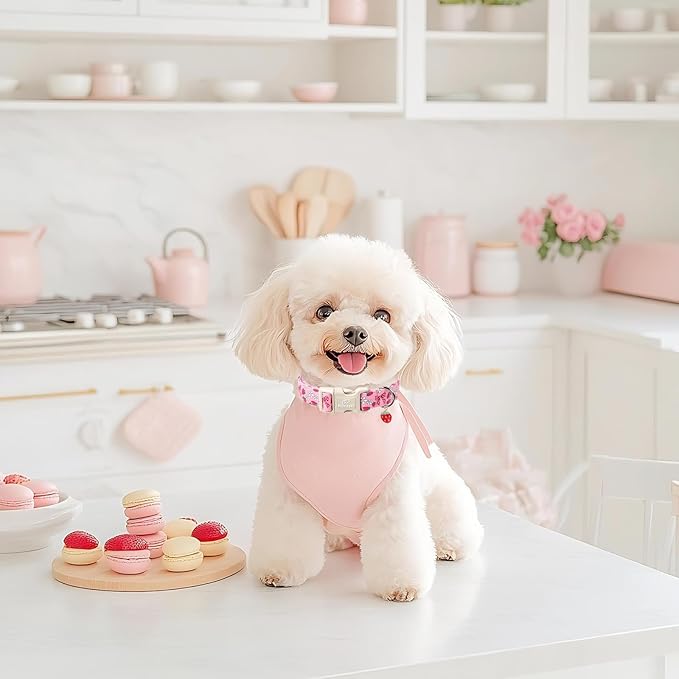 Babole Pet Strawberry Bow Dog Collar for Puppy Small Dogs - Cute Pink Spring/Summer Girl Dog Collars, Lightweight Adjustable Female Girly Dogs Collars with Quick Release Buckle XS