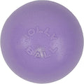 Jolly Pets Bounce-N-Play Medium Dog Ball