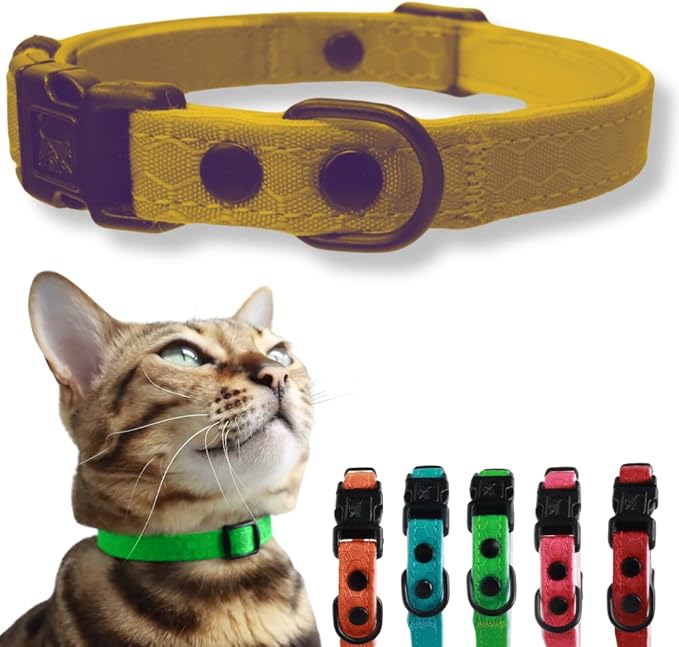 OutdoorBengal Breakaway Kitten Collar, Quick Release, No Bell (Orange, S)