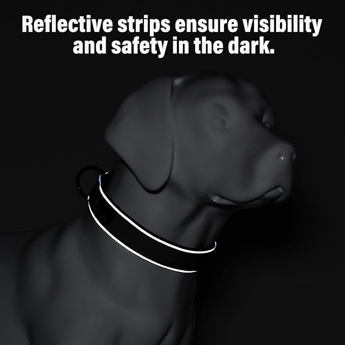 Plutus Pet Tactical Dog Collar, Reflective, Adjustable Heavy Duty Dog Collar, Soft Padded and Comfortable, for Small Medium and Large Dogs (Red, L)