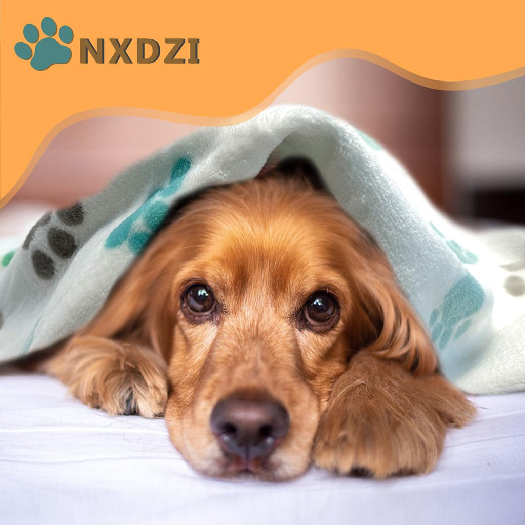 Dog Blankets for Medium Large Dogs Washable, 3 Pack Pet Blanket Washable 41" x 31", Fuzzy Soft Puppy Throw Cover for Kennel Crate Bed
