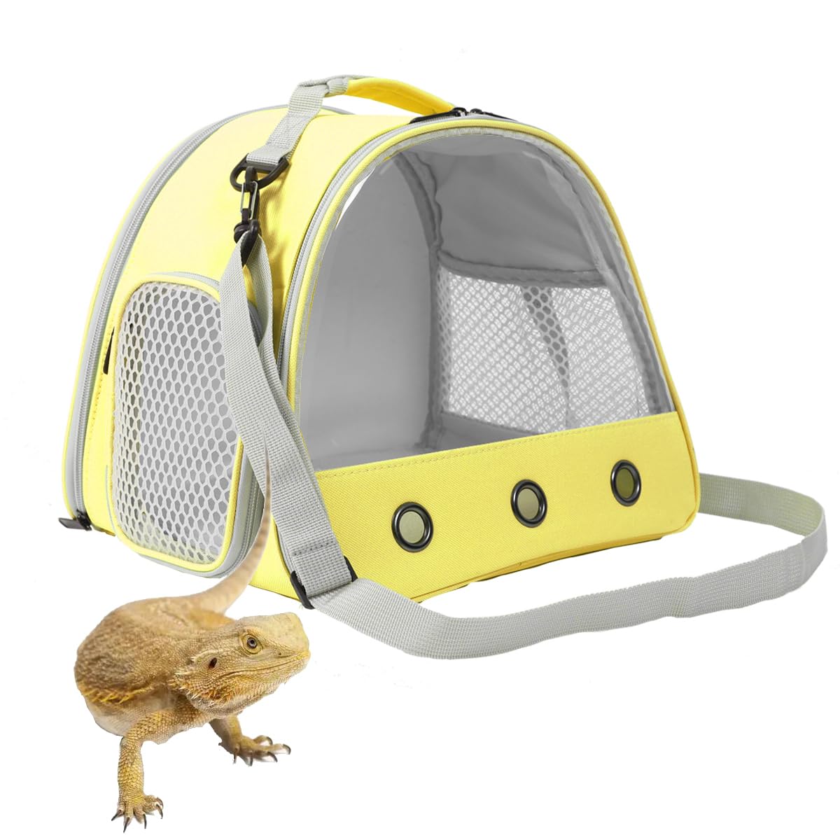 Guinea Pig Carrier,Guinea Pig Carrier for 2,Ventilation Carrier for Bearded Dragon,Reptile Travel Carrier for Lizards Sugar Glider Hedgehog Rat Parrot Birds,Airline Approved Green
