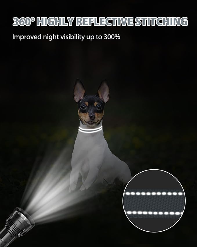 Joytale Puppy Collar, Feather-Light Double-Sided Reflective Nylon Collar for Night Safety, Adjustable Quick-Release for Extra Small Dogs, Gray, XS (3/8" Width)