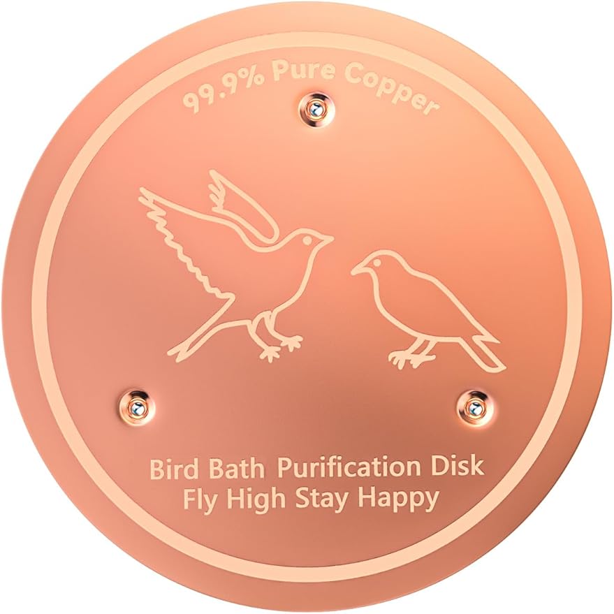 CNARIO 2Pcs Water Purification Disc for Birdbaths, Bird Baths Cleaning Disk
