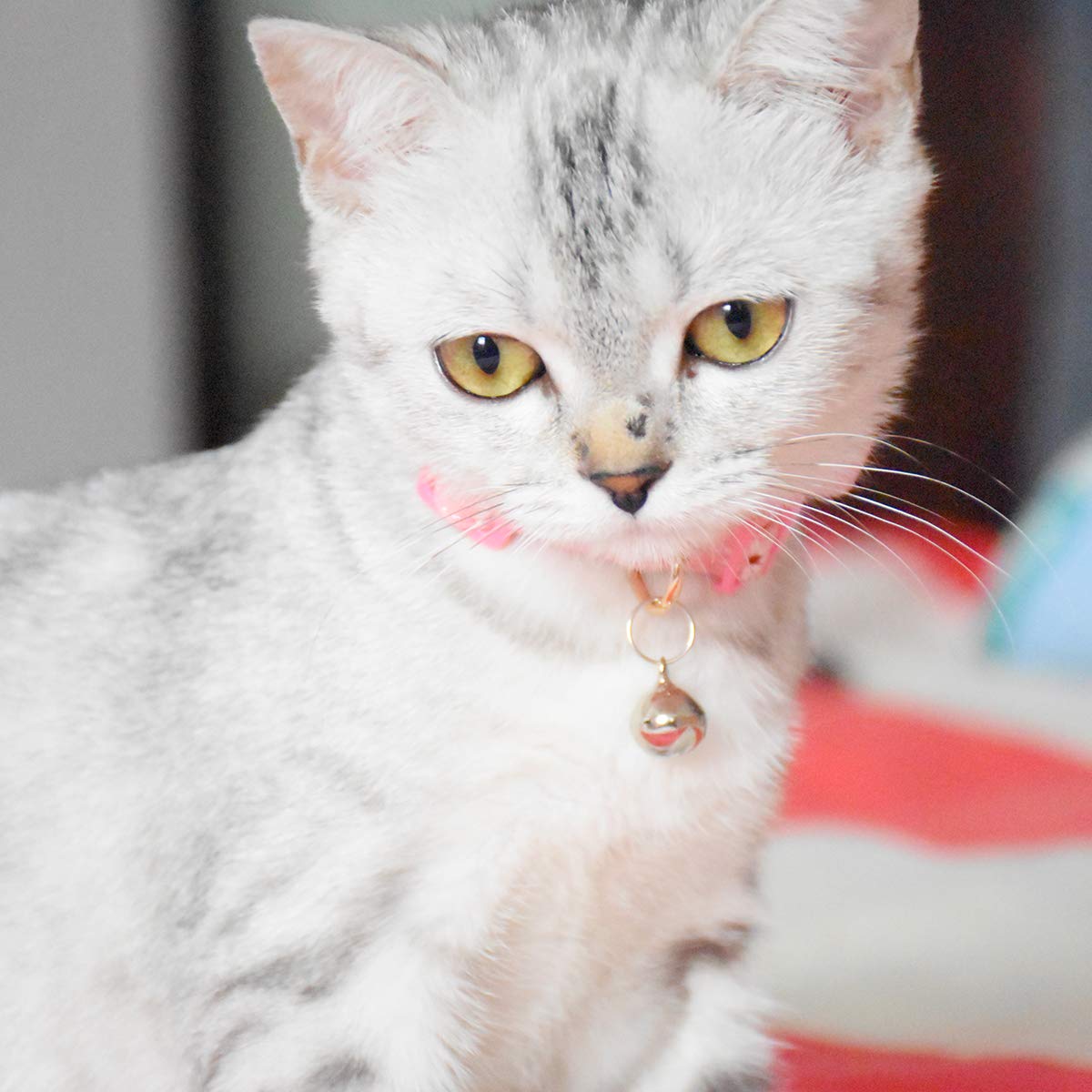 Breakaway Cat Collars with Bell, Set of 3, Durable & Safe Cute Kitten Collars Safety Adjustable Kitty Collar for Cat Puppy 7.5-11in (Gray,Pink,Blue)