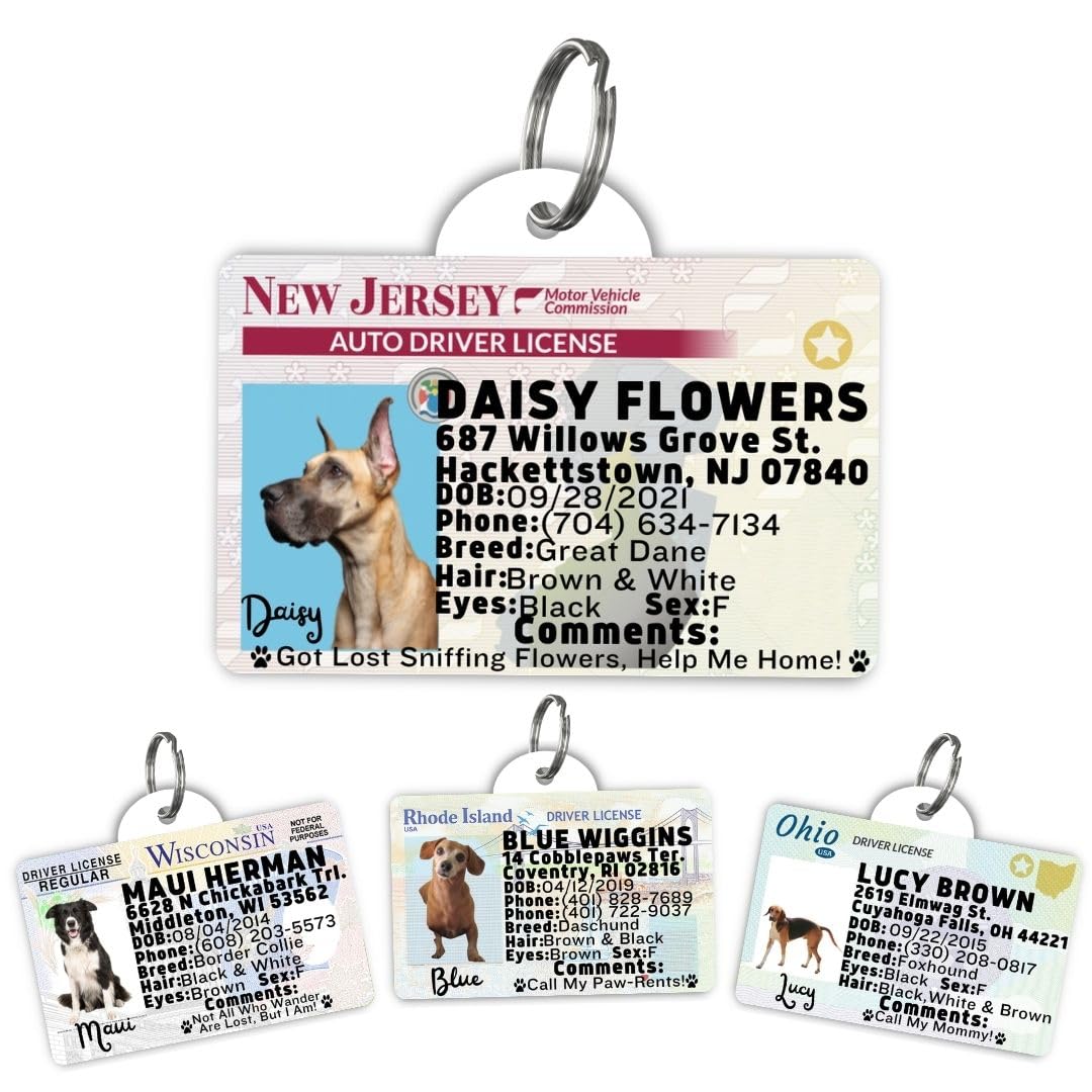 Dog Tags Personalized, Dog ID License Tag for Pets (Washington, Tag)