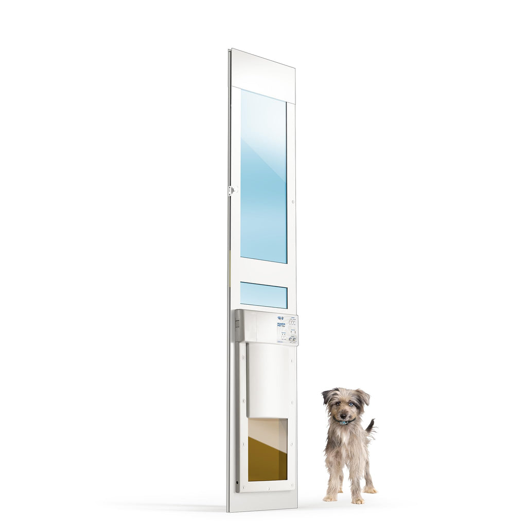 Power Pet Smart Automatic Electronic Pet Door by High Tech Pet (Wall Mount