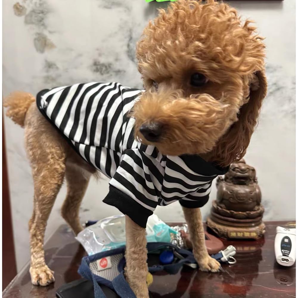 Anelekor Autumn Dog Hoodies with Leash Ring Warm Striped Puppy Shirt for Small Dog Girl Boy Cat Sweater Winter Pet Clothes Pomeranian Chihuahua Cold Weather Coat (Medium, Black)