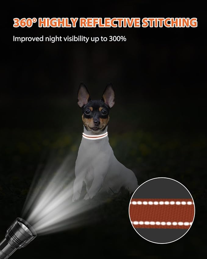 Joytale Puppy Collar, Feather-Light Double-Sided Reflective Nylon Collar for Night Safety, Adjustable Quick-Release for Extra Small Dogs, Orange, XS (3/8" Width)