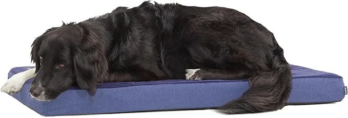 BarkBox Orthopedic Dog Bed - Large