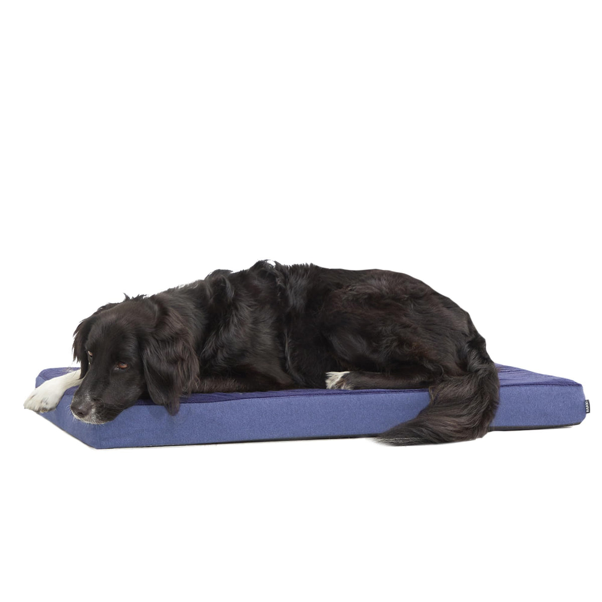 BarkBox Orthopedic Dog Bed - Small
