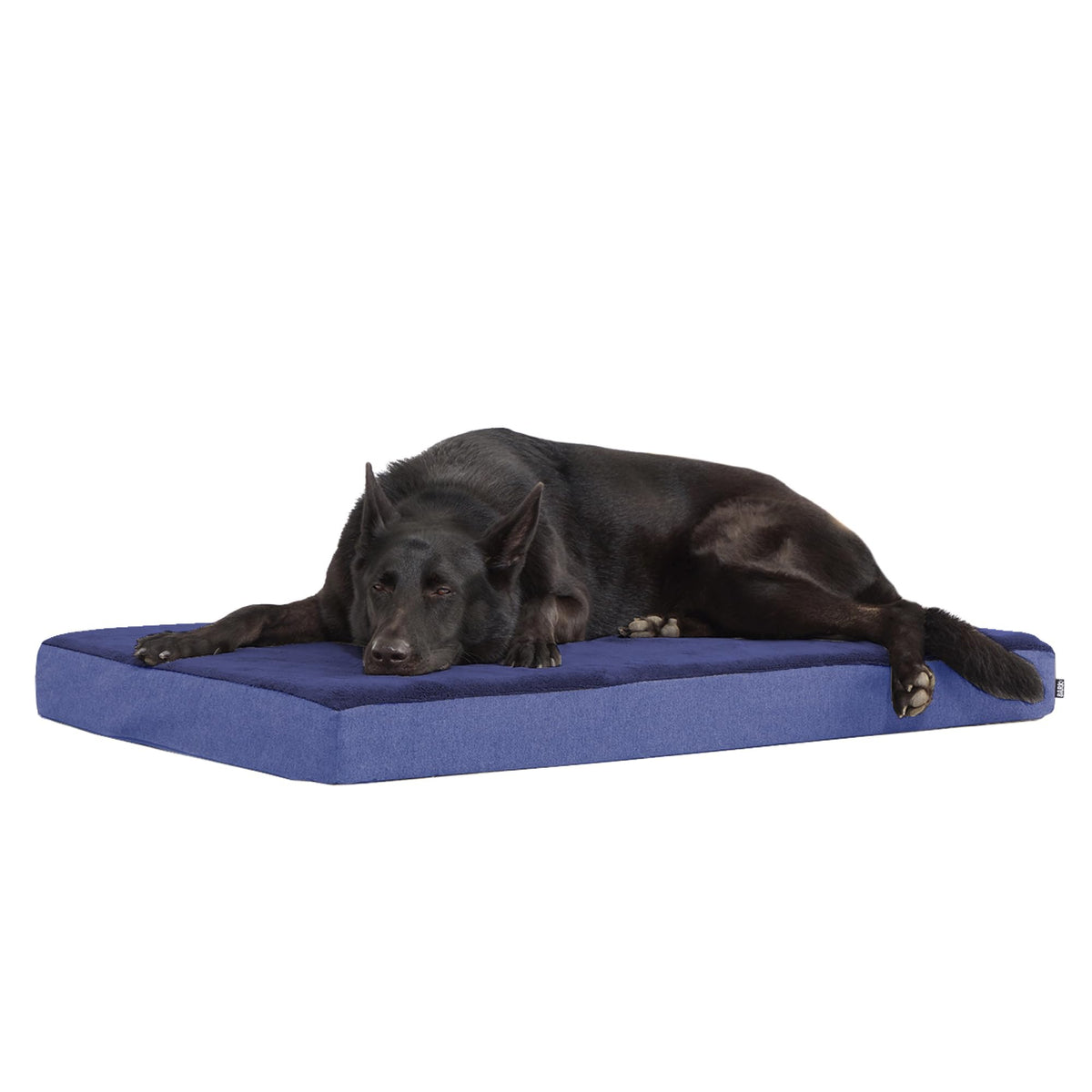 BarkBox Orthopedic Dog Bed - Small