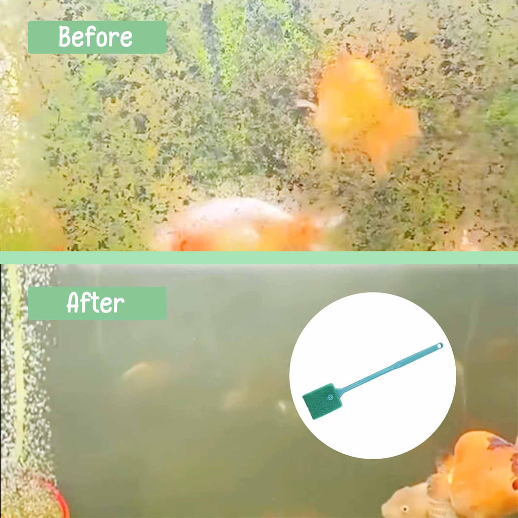 chaekoy Fish Tank Cleaning Tools, Aquarium Brushes, Fish Tank Sponge Cleaner