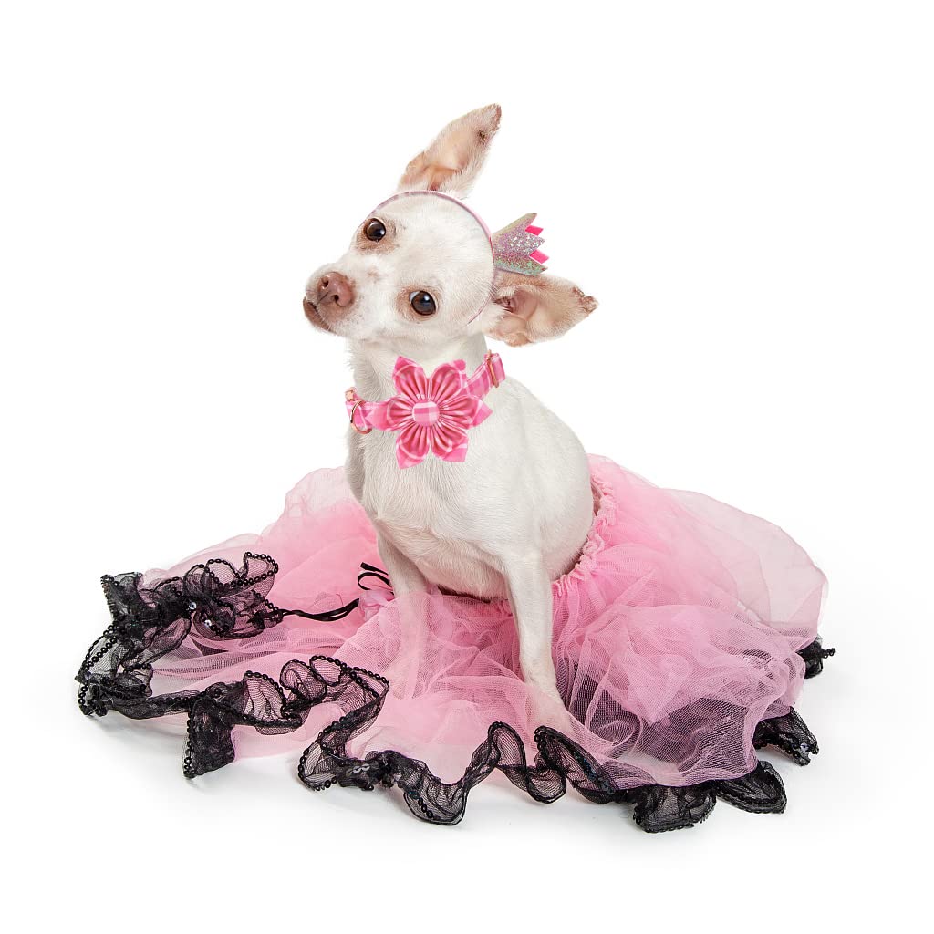 Lionheart Glory Cute Dog Collar, Pink Floral Dog Collar with Flower, Soft Adjustable Pet Collar for X-Small Dogs Puppy Girl/Boy