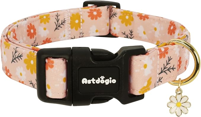 Astdogio Halloween Dog Collars, Fall Dog Collar for Dogs, Fun Multi-Color Pumpkin Dog Collars for Large Dogs, Adjustable Cotton Large Dog Collar Puppy Collar for Halloween & Thanksgiving — XS