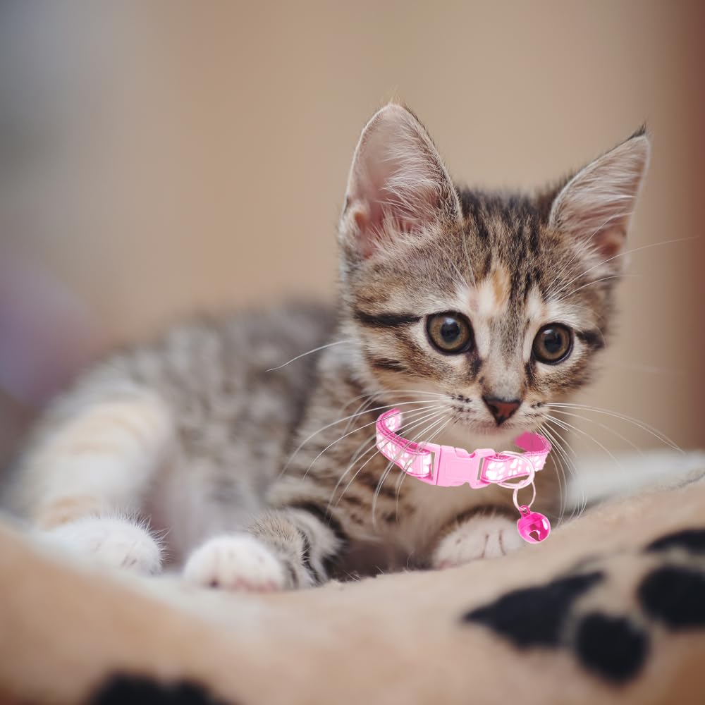 MJIYA Cat Collar with Bell, Breakaway Grid Collar with Plastic Buckle, Light Adjustable, Nylon, Kitty Collars