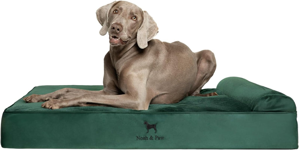 NOAH & PAW XL Dog Bed, 45x35x9.1 Inch, Orthopedic Large Dog Beds, Eggshell Memory Foam Infused with Cooling Gel, Water Resistant, Machine Washable, Includes Inner Cover (Velvet Collection)