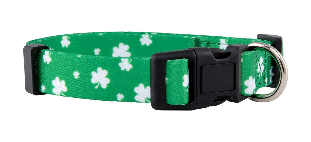 Native Pup Halloween Dog Collar (Small, Bats)