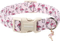 DOGWONG Fall Dog Collar, Orange Checkered Dog Collar Adjustable Soft Cute Pet Dog Collars Cute Plaid Puppy Necklace for Small Medium Large Dogs — X-Small
