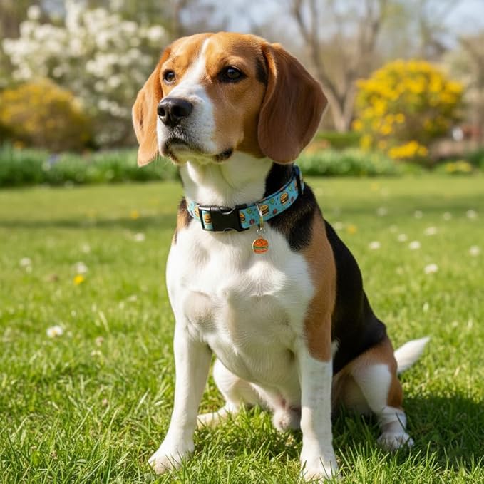 Britwicfr Cute Dog Collar, Blue Dog Collar with Burger Pattern and Cute Charm, Puppy Collar with Quick Release Buckle and Durable Fabric, Suitable for Medium and Large Dogs