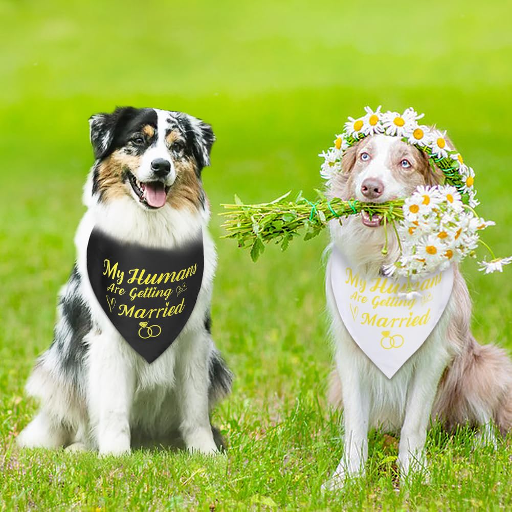 SZEE Wedding Decorations for Pets, 2 Pack My Humans are Getting Married Dog Bandanas, Engagement Party Decorations, Wedding or Engagement Gift for Couples, Dog Wedding Bandanas (Gold, S)