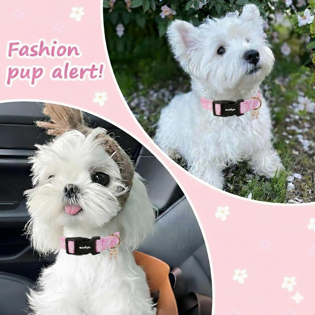 Astdogio Small Dog Collar, Girl Boy Dog Collars with Bow Pattern, Adjustable Cotton Pink Dog Collar for Puppy, Cute Holiday Collars for Dogs, Ideal for Gifts,Pet Accessory,Daily Walk-S