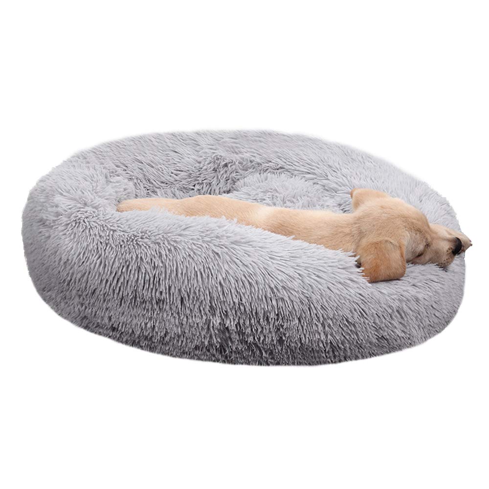 Cat Bed for Indoor Cats,Mini Plush Self Warming Kitten Bed, 20 Inch