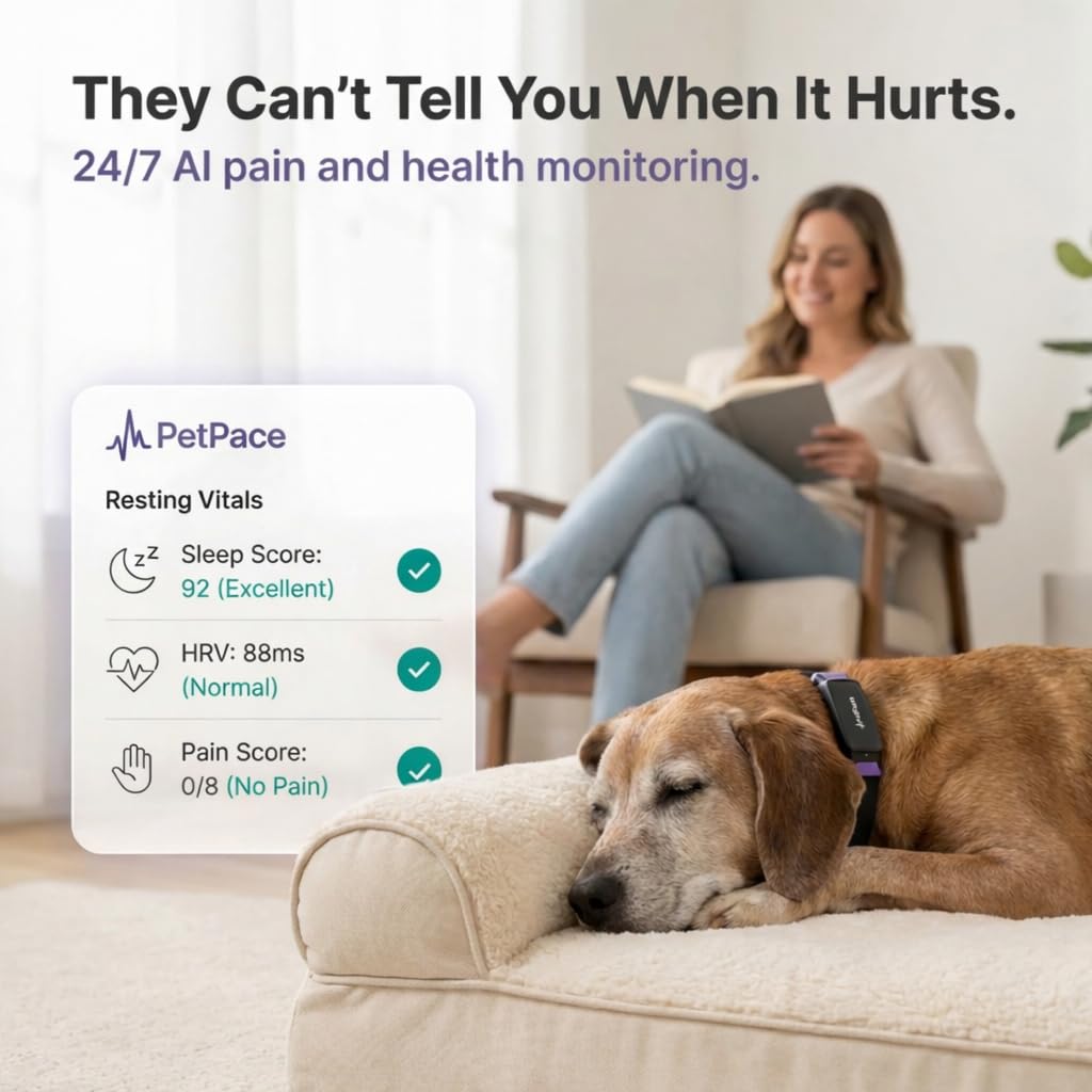 NEW Dog Health Monitor V3.0 by PetPace – AI Smart Collar with 24/7 Vital Signs, Pain & GPS Tracking, Telehealth AskaVet & Share With Your Vet, Smartwatch Sync – Subscription Required (Small)