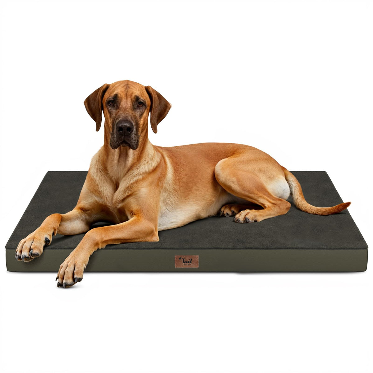 Tail Stories Jumbo Waterproof Orthopedic Dog Bed for Extra Large Dogs