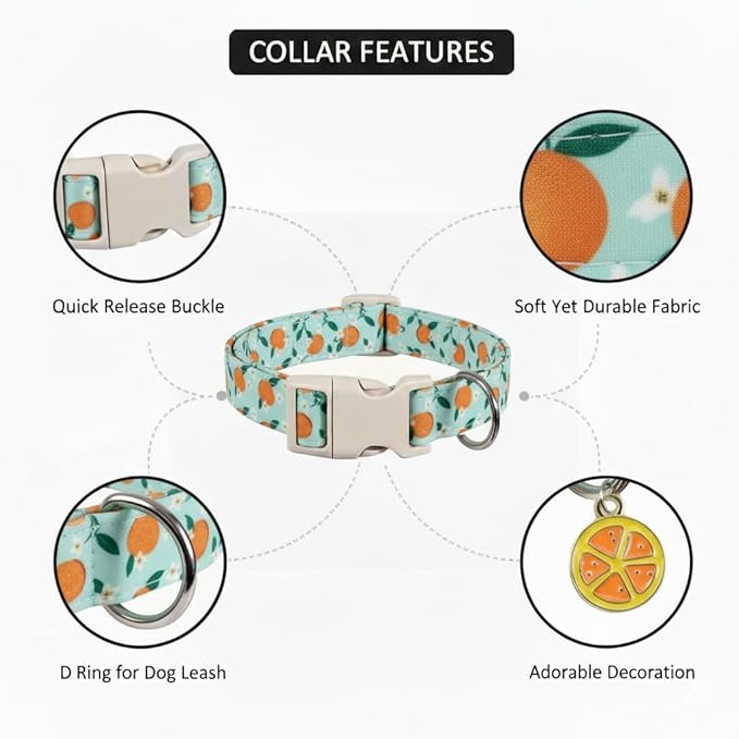 Britwicfr Dog Collar, Spring Summer Dog Collar with Orange Print and Charm, Cute Spring Summer Fruit Collar with Soft & Breathable Fabric, Adjustable Pet Collar for Medium Dogs