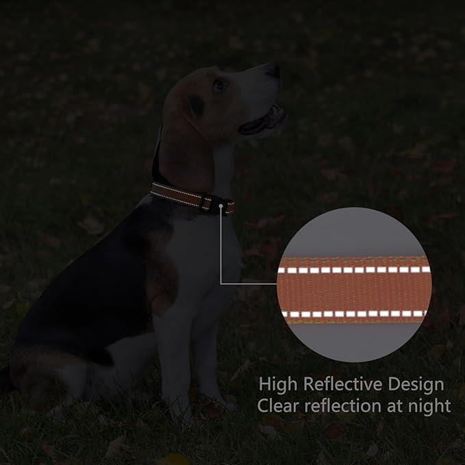 PenSeepet Reflective Dog Collar Padded with Soft Neoprene Breathable Quick Release Basic Dog Collars for Medium Large Dogs Orange