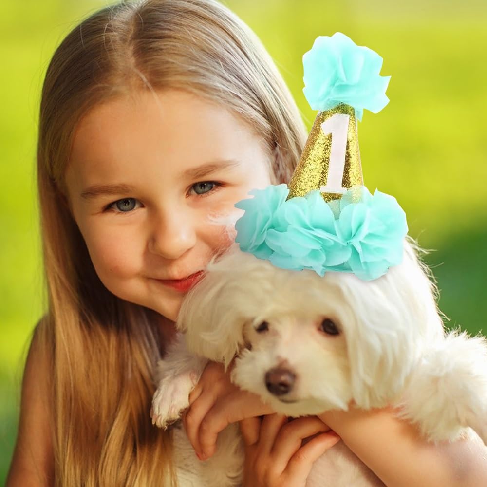 Stock Show 1st Pet Birthday Cone Hat Dogs Cats Holiday Party Hat Headwear Costume with Flowers Accessories and Adjustable Headband for Small Medium Dogs Cats Pets (Blue)