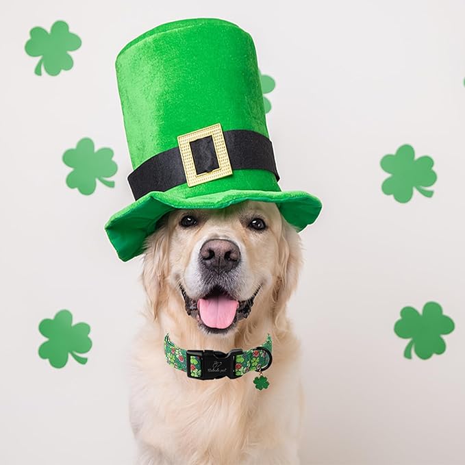 Babole Pet St Patricks Day Dog Collar for Small Dogs - Lucky Flower Shamrock Green Dog Collars, Cute Irish Clover Puppy Collar with Quick Release Buckle for Girls&Boys Dogs XS