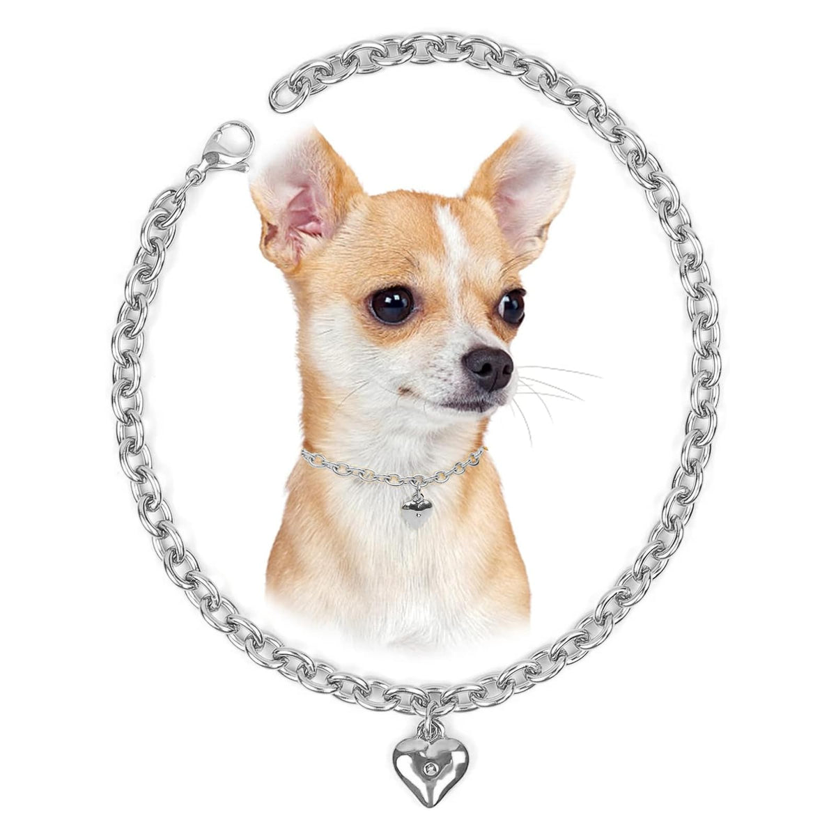 HOWWFALY Dog Collar and Dog Chain Necklace Stainless Steel Adjustable 18K Sliver Heart-Shaped Necklace for Small Pets Cats Kitten Puppy (Sliver, 12 inch)