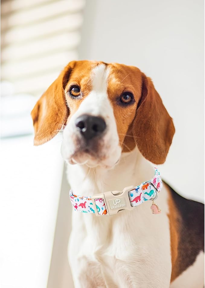 UP URARA PUP Summer Dog Collar, Adorable Dinosaur Cotton Dog Collar with Quick Release, Gift Dino Collars for Small Medium Large Boys Dogs Cute Durable Comfortable Pet Collars