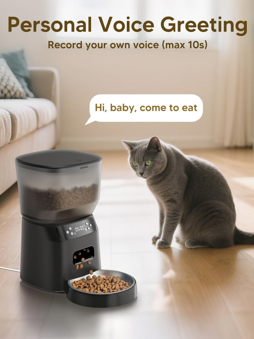 Cat Accessories for Puppy Kitten