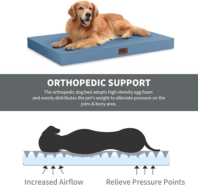 Outdoor Orthopedic Dog Bed for Medium Dogs & Cats, Waterproof Flat Pet Mat with Egg Crate Foam & Washable Removable Oxford Cover, 30x20 Inch, Blue