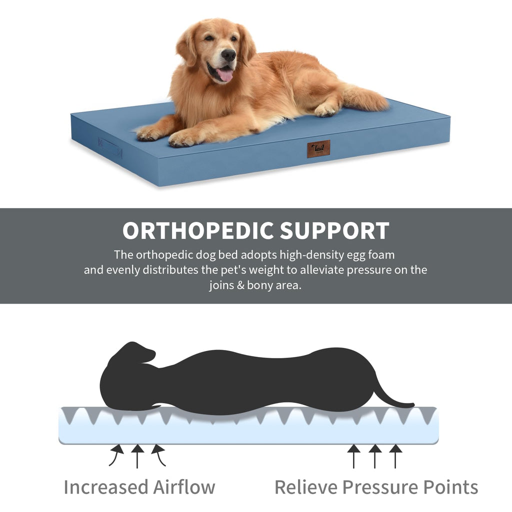 Tail Stories Orthopedic Waterproof Dog Bed for Small Dogs and Cats