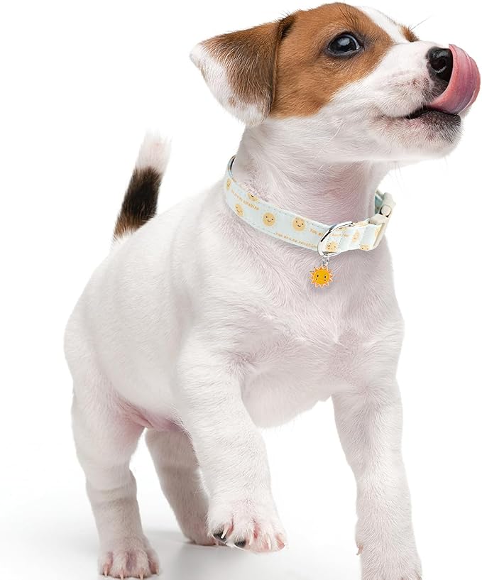 Faygarsle Sunshine Pattern Dog Collar, Adjustable Cotton Fabric, Cute Design for Small Medium Large Dogs, M